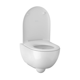 Geberit Renova 500.122.TC.R Комплект инсталляция и унитаз подвесной стандартные, цвет унитаза: белый