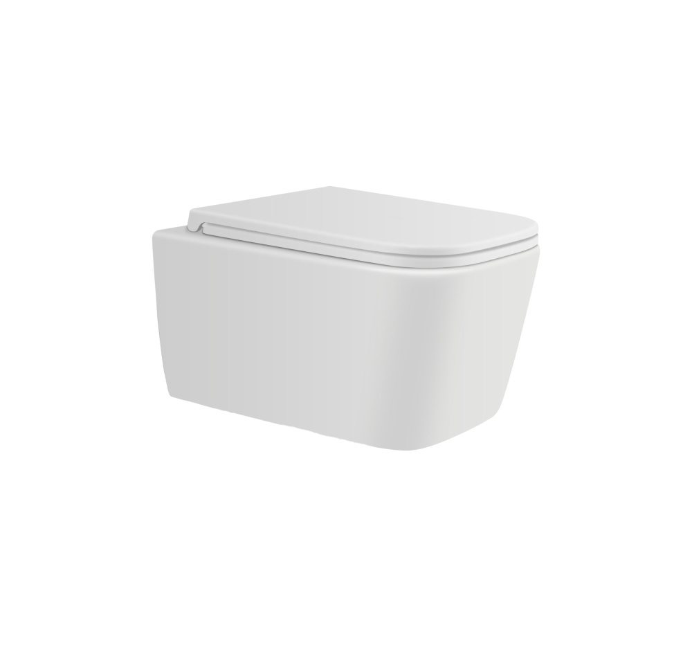 Фото Подвесной безободковый унитаз с сиденьем микролифт Avimano Vision 1000041, цвет белый матовый