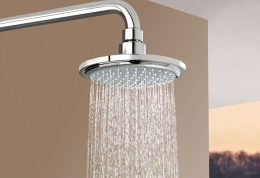 Фото Grohe Euphoria Cosmopolitan 28233000 Душ верхний 1 вид струи