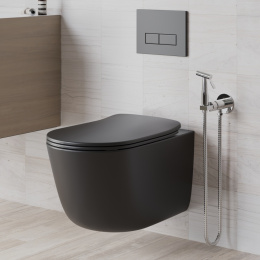 Фото Смеситель с гигиеническим душем Paini Castello CACR442R хром