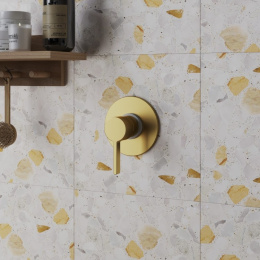 Фото Смеситель для душа Paini Brera 74PJ690 золото