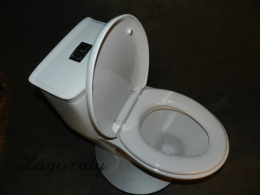 Фото Напольный унитаз моноблок Laguraty 2148A белый